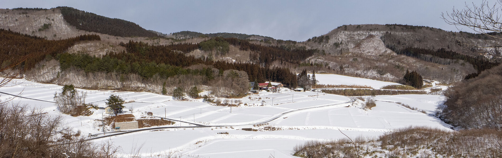 くぼかわ里山日記より